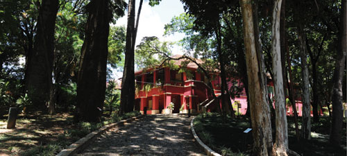 museu história natural